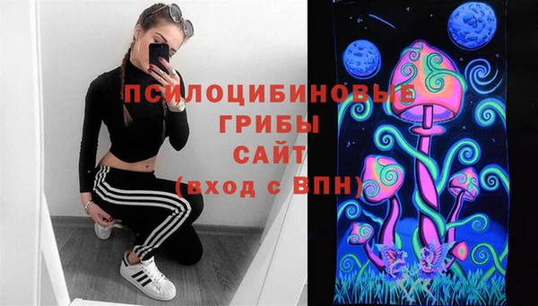 круглые Алзамай