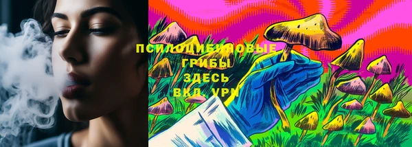 круглые Алзамай