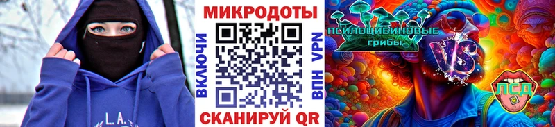 Псилоцибиновые грибы мицелий мега зеркало Находка